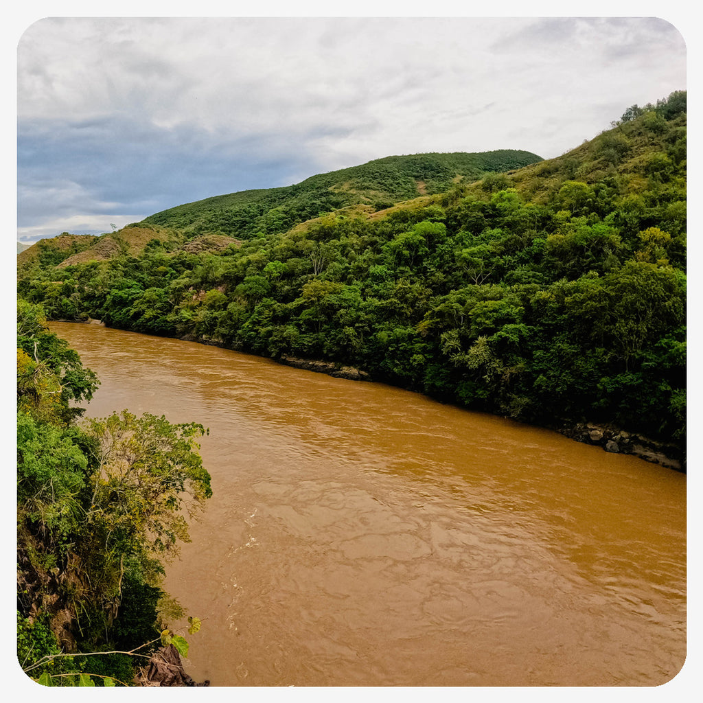 Magdalena River at La Chamba Tolima - Wolf & Miu