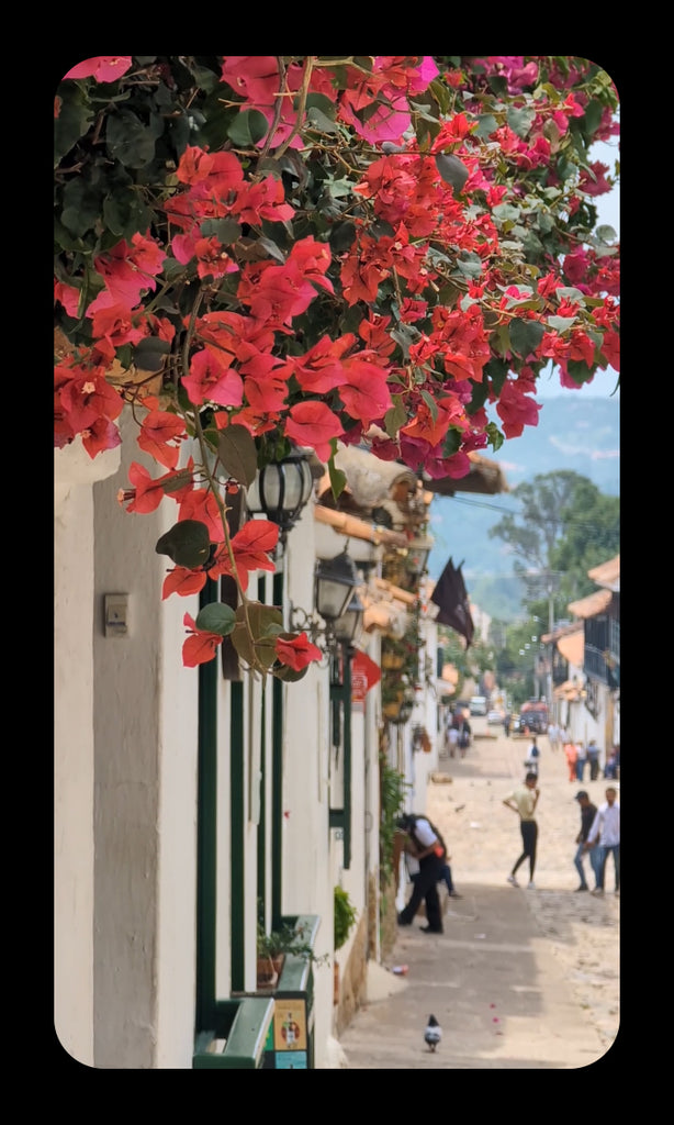 Rojo Collection by Wolf & Miu Nature from Raquira Colombia