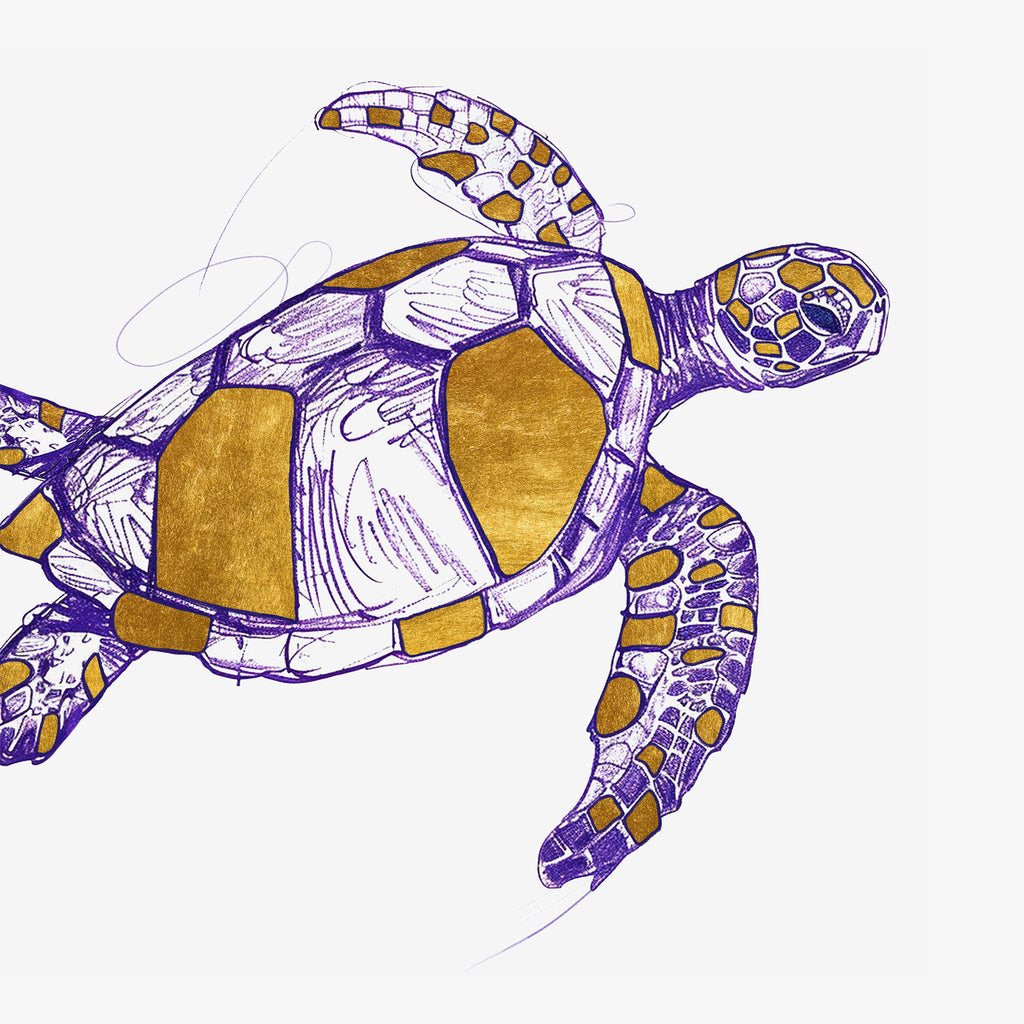 Sea Turtle Art Printing by Wolf & Miu